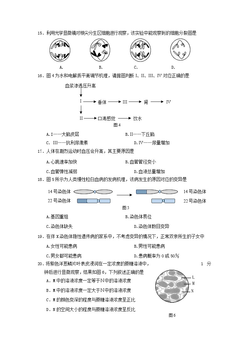 上海市嘉定区2021-2022学年第一学期等级考第一次质量调研 生命科学试卷第3页