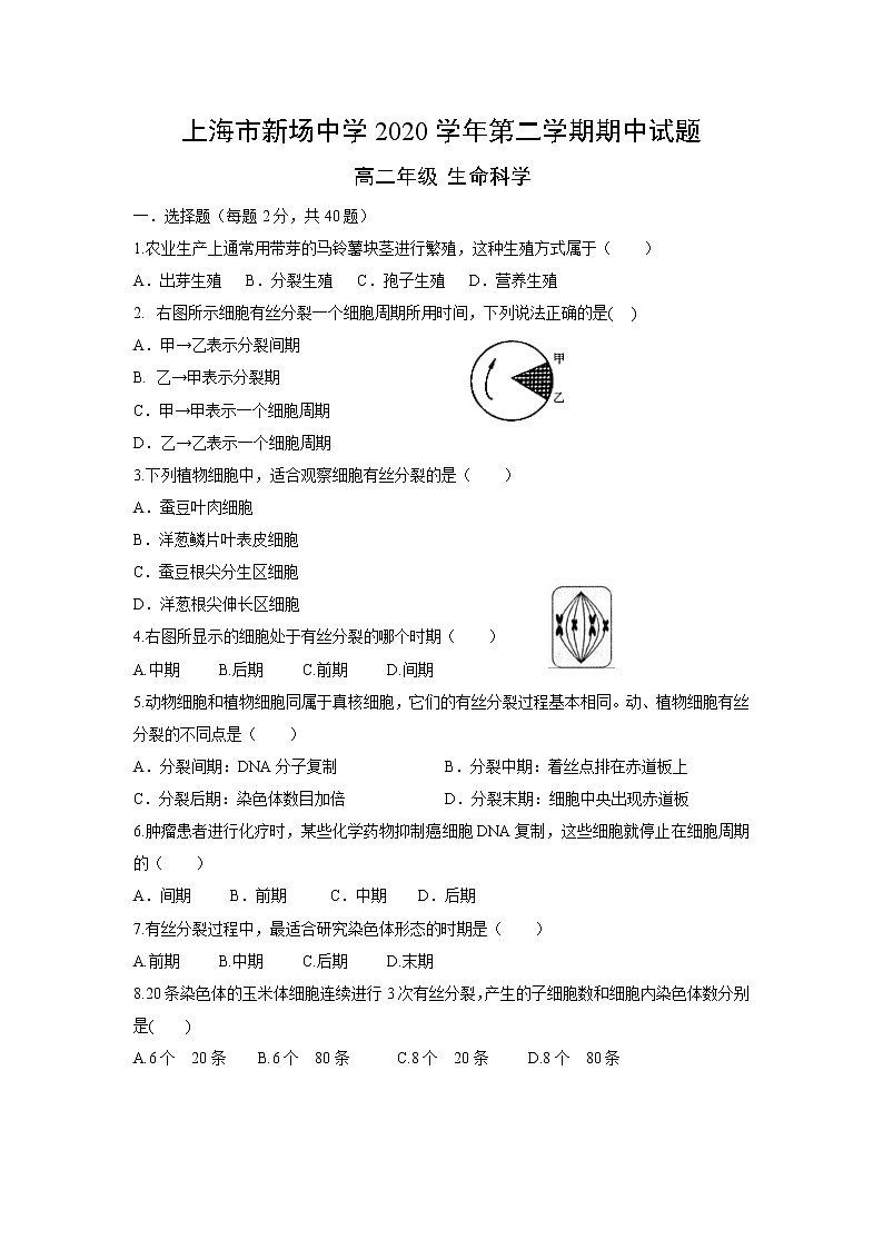 2021上海市新场中学高二下学期期中考试生命科学试题含答案第1页