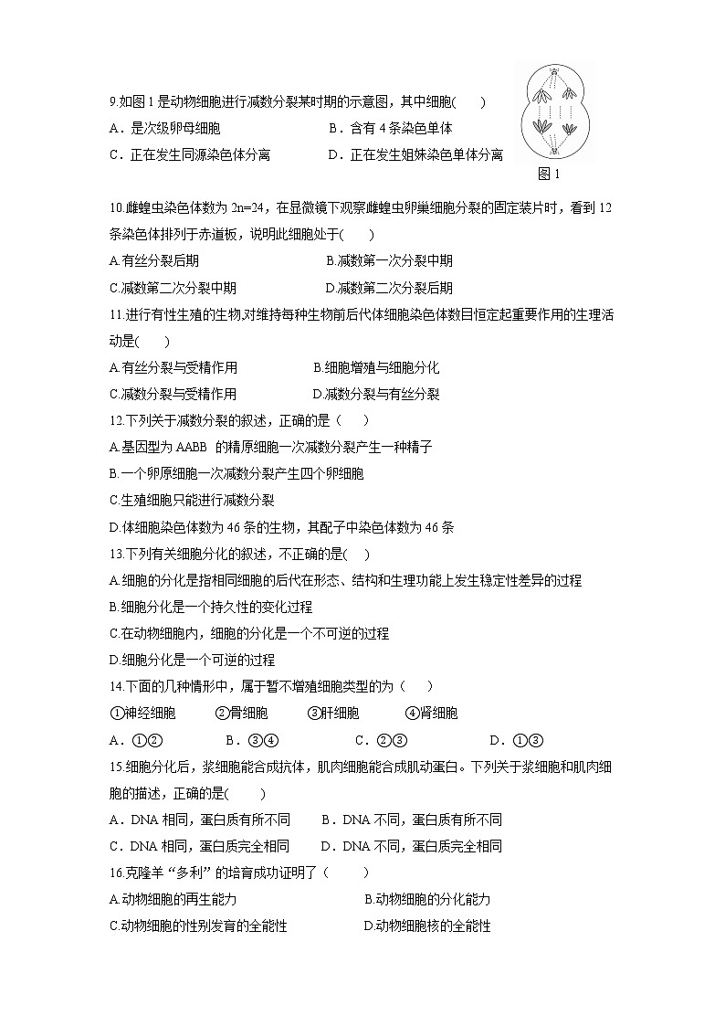 2021上海市新场中学高二下学期期中考试生命科学试题含答案第2页