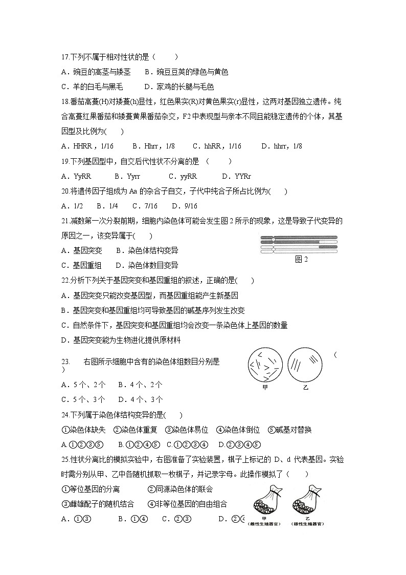 2021上海市新场中学高二下学期期中考试生命科学试题含答案第3页
