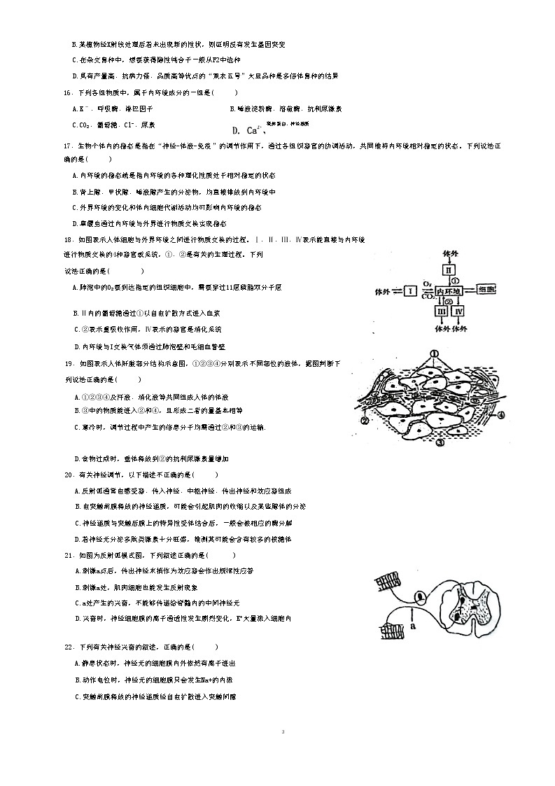 四川省绵阳市科学城第一中学2022—2023学年高二上学期半期（期中）考试生物试题无答案第3页