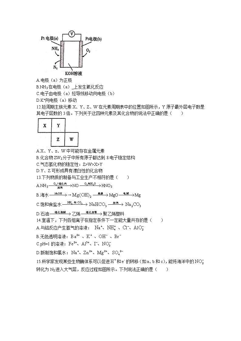 2023南宁高二上学期开学质量调研化学试题含答案第3页
