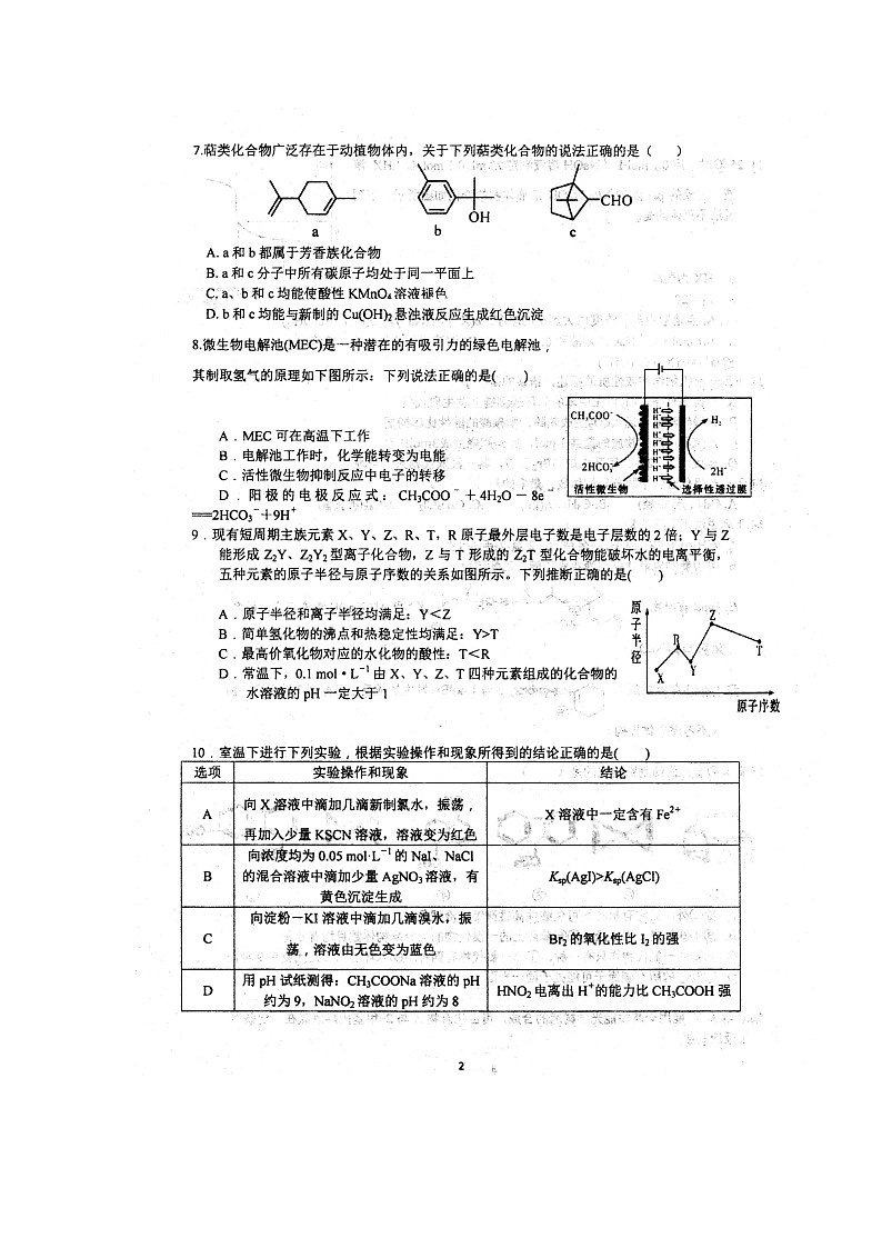 2020安徽省泗县一中高二下学期开学考试化学试题扫描版含答案第2页
