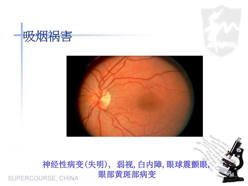 拒绝吸烟主题班会活动课件（共31张ppt）第8页