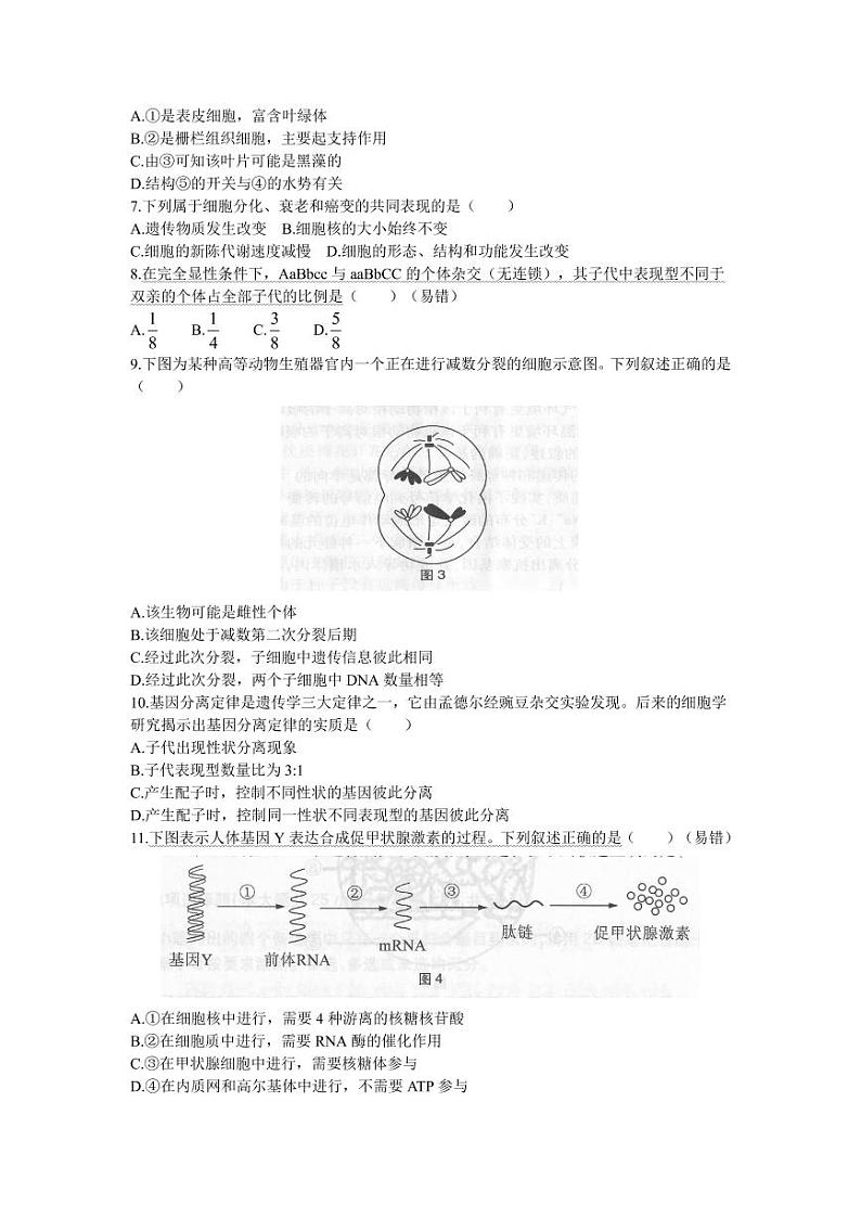 2019上半年国家教师资格证【初中】生物真题试卷+答案第2页