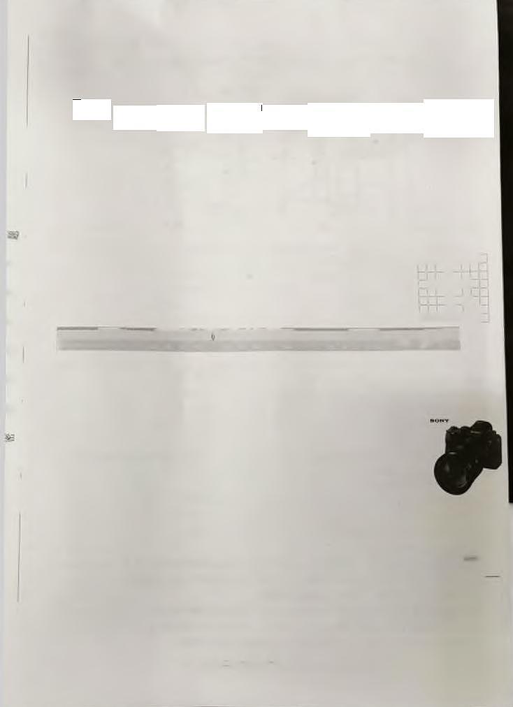 浙江省温州新力量联盟2021-2022学年高二上学期期中考试技术试题扫描版含答案01