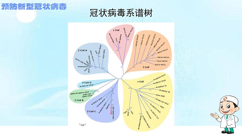 新型冠状病毒知识与预防主题班会PPT课件04