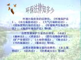 班会课件推荐-依法参与环保