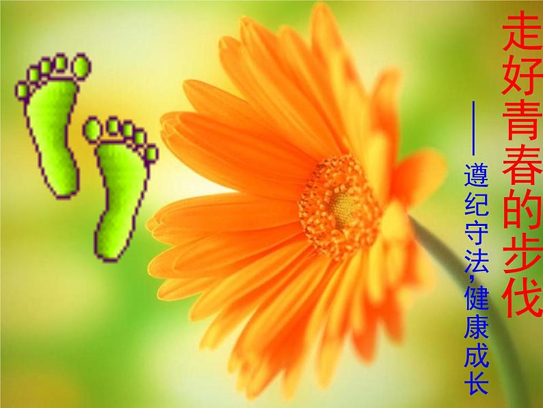 班会课件推荐-走好青春的步伐——遵纪守法健康成长01