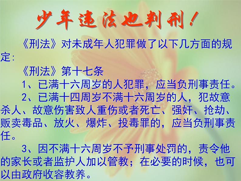 班会课件推荐-走好青春的步伐——遵纪守法健康成长03