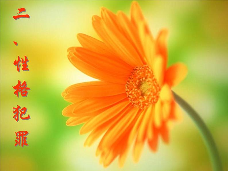 班会课件推荐-走好青春的步伐——遵纪守法健康成长08