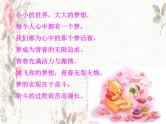 班会课件推荐-青春无悔放飞梦想主题班会ppt