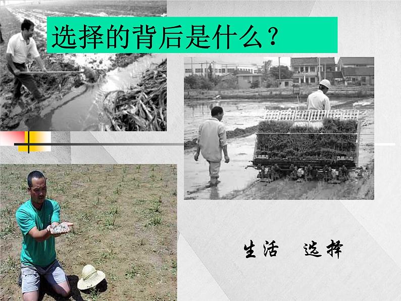 班会课件推荐-前途理想教育主题班会第5页