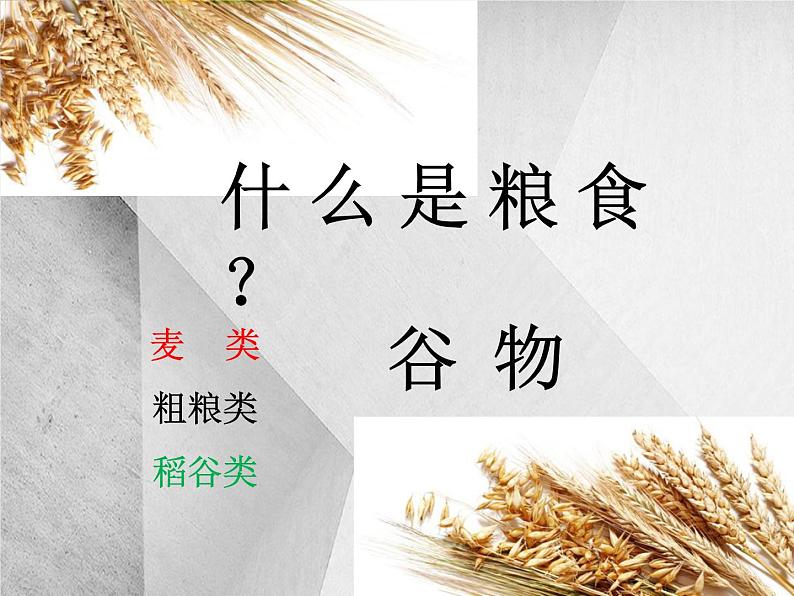 班会课件推荐-节粮爱粮主题班会第3页