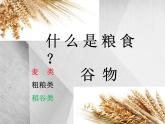 班会课件推荐-节粮爱粮主题班会