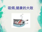 班会课件推荐-小学班会吸烟是健康的大敌