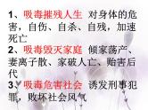 班会课件推荐-珍爱生命   严禁毒品  主题班会