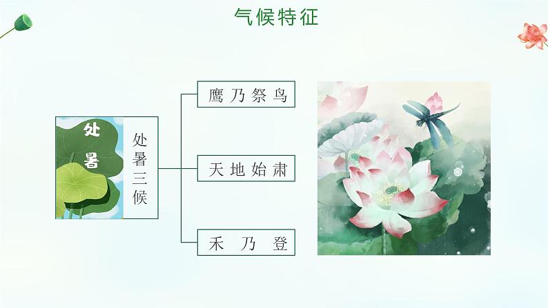 二十四节气 ——处暑课件PPT第7页