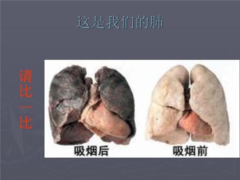 珍爱生命 远离香烟 主题班会 课件PPT第7页