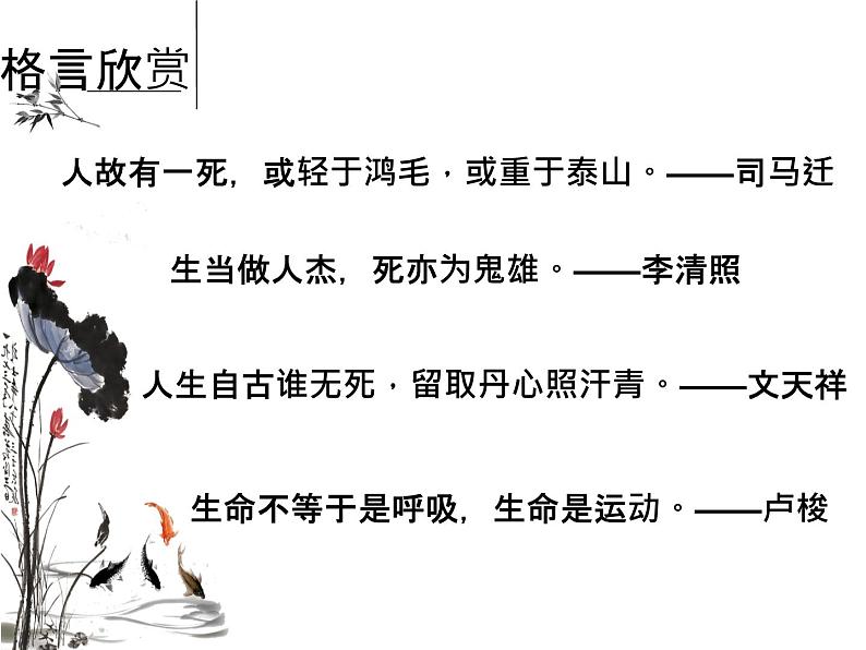 珍爱生命：生命的意义PPT课件03