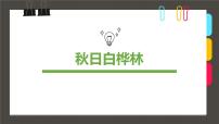 小学课后服务美术社团活动课件《秋日白桦林》