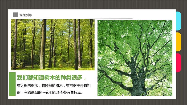 小学课后服务美术社团活动课件《秋日白桦林》第4页