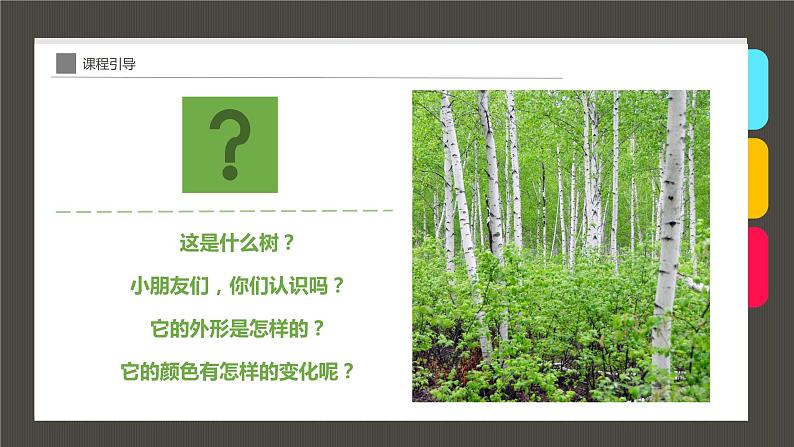 小学课后服务美术社团活动课件《秋日白桦林》第5页