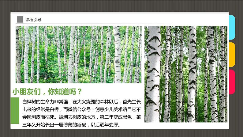 小学课后服务美术社团活动课件《秋日白桦林》第7页