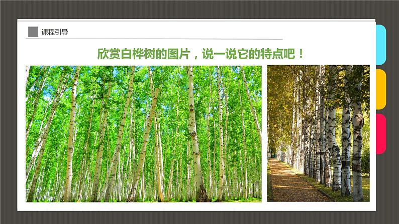 小学课后服务美术社团活动课件《秋日白桦林》第8页