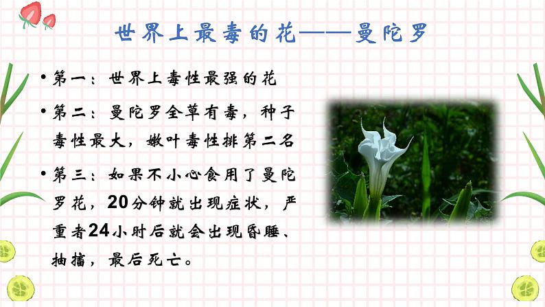 讲解《花中之最》第8页