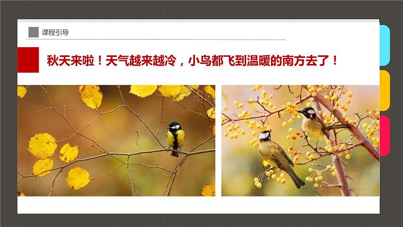 小学课后服务美术社团活动课件《枝头上的小鸟》04