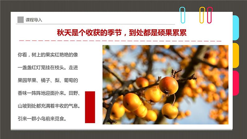 小学课后服务美术社团活动课件《枝头上的小鸟》05