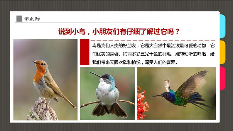 小学课后服务美术社团活动课件《枝头上的小鸟》07