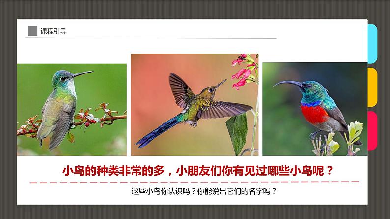 小学课后服务美术社团活动课件《枝头上的小鸟》08