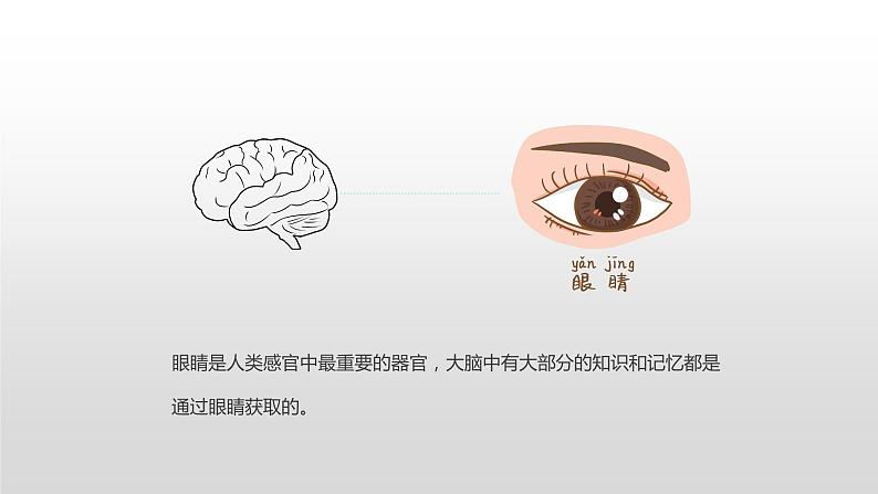 全国爱眼日-----主题班会课件08