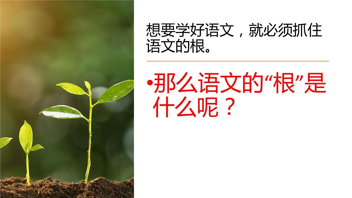 初中语文第一课----（主题班会）课件PPT第6页