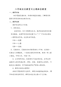 三年级 安全教育日主题班会教案