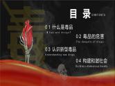 6.26 国际禁毒日《珍爱生命 远离毒品》PPT课件