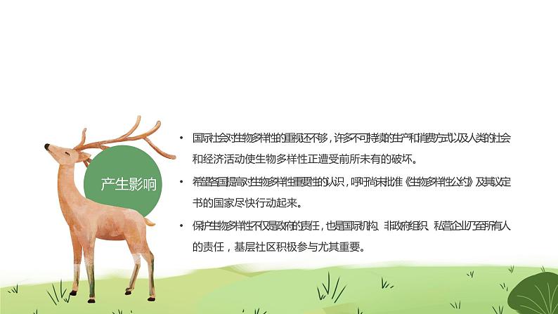 初中主题班会---国际生物多样性日保护地球保护生物PPT课件06