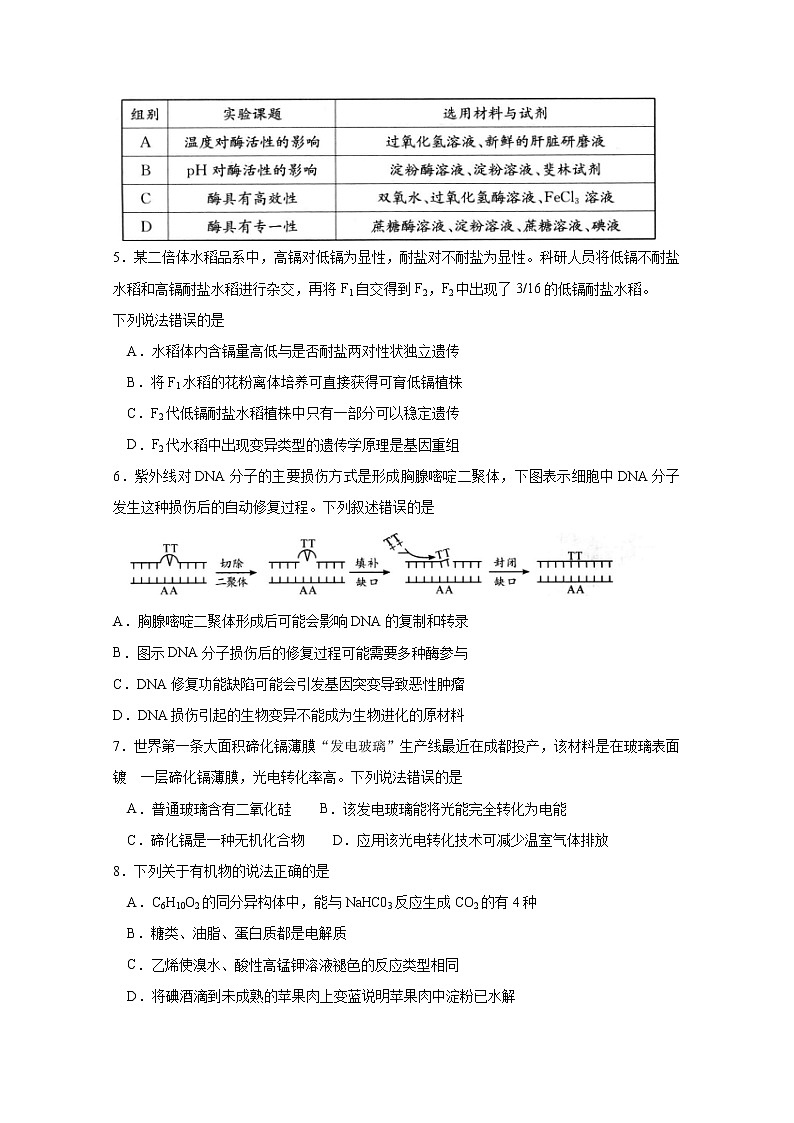 四川省成都市2019届高三第三次诊断性检测理科综合试题第2页