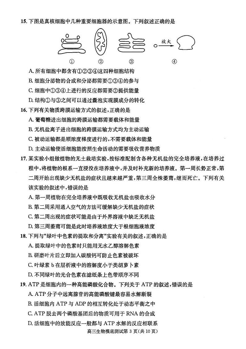 2019成都零诊 试卷03