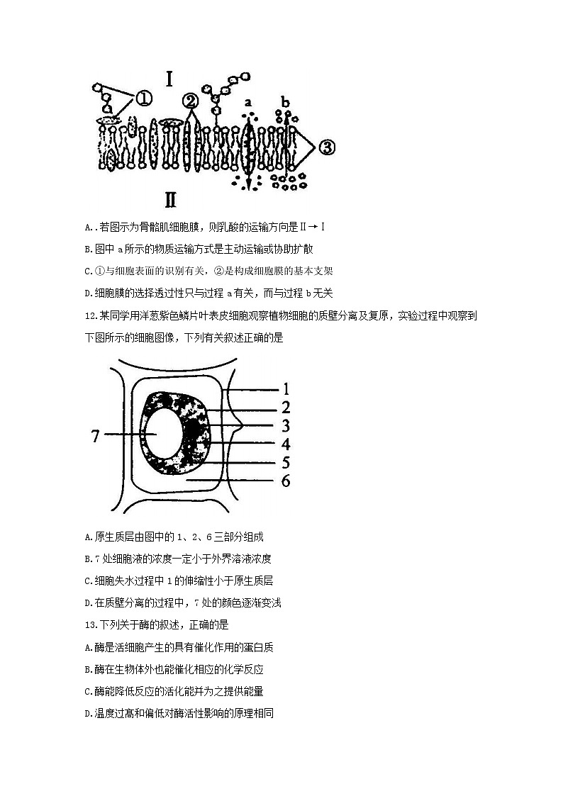 2018成都零诊 试卷03