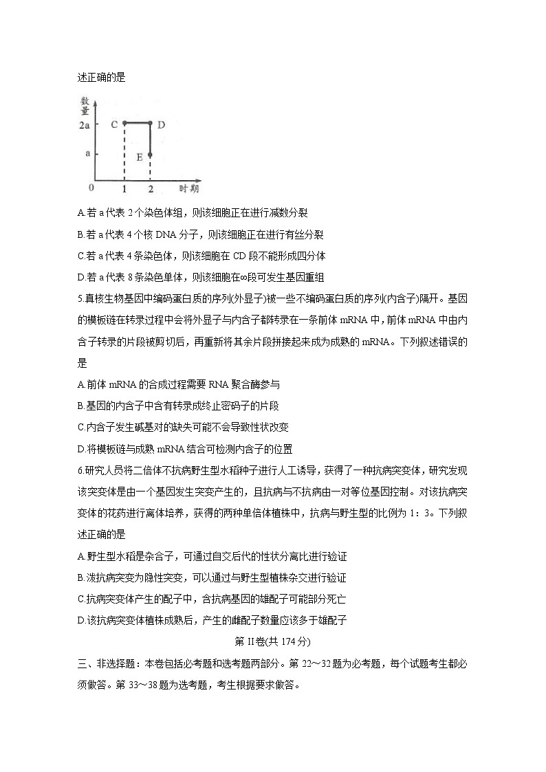 四川省成都市2020届高三第一次诊断考试生物第2页