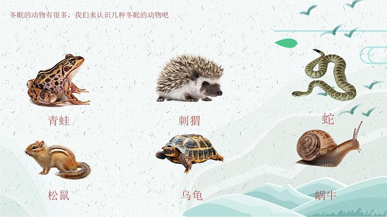 冬眠课件课后服务 美术社团活动05