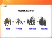 川教版4-6可爱的四川 1 享誉世界的超级明星—国宝大熊猫 课件+教案+素材
