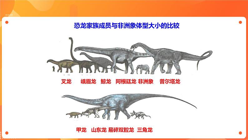 川教版4-6可爱的四川 2 重回侏罗纪—寻踪自贡恐龙博物馆 课件+教案+素材04