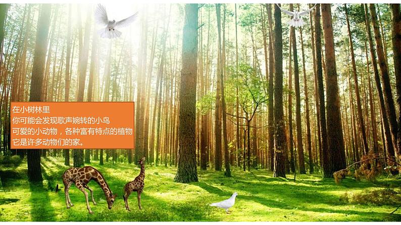 3 《白桦林》课件课后服务 美术社团活动第6页