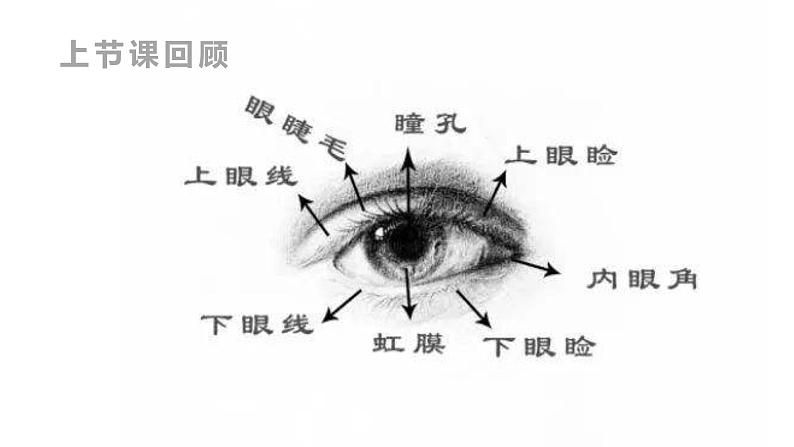 5《小毛驴》课件课后服务 美术社团活动第3页