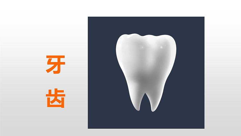 口腔卫生-爱护我们的牙齿--主题班会课件第2页