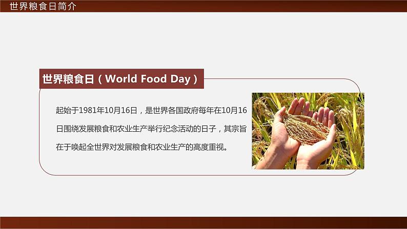 世界粮食日---主题班会课件第4页